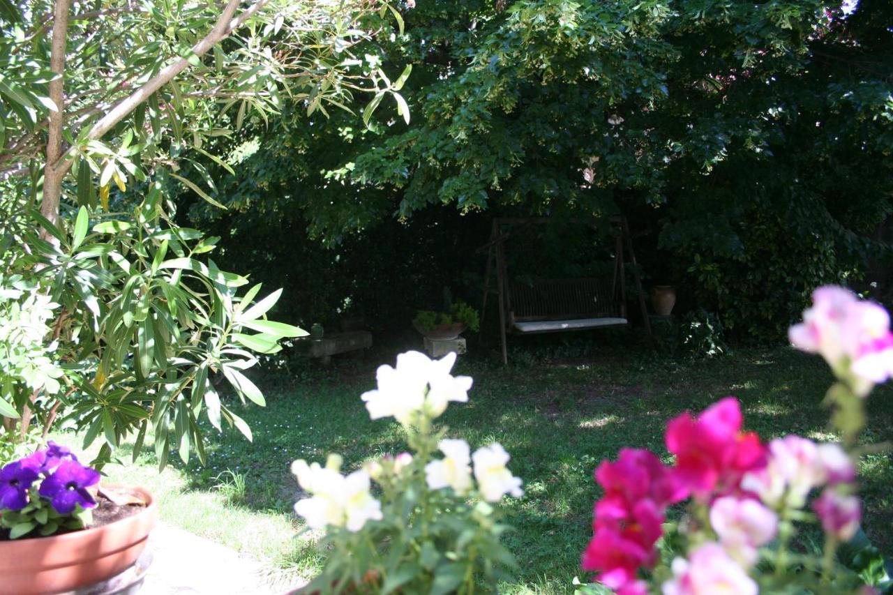 Le Petit Palais Maisonnette Apart otel Avinyon Dış mekan fotoğraf