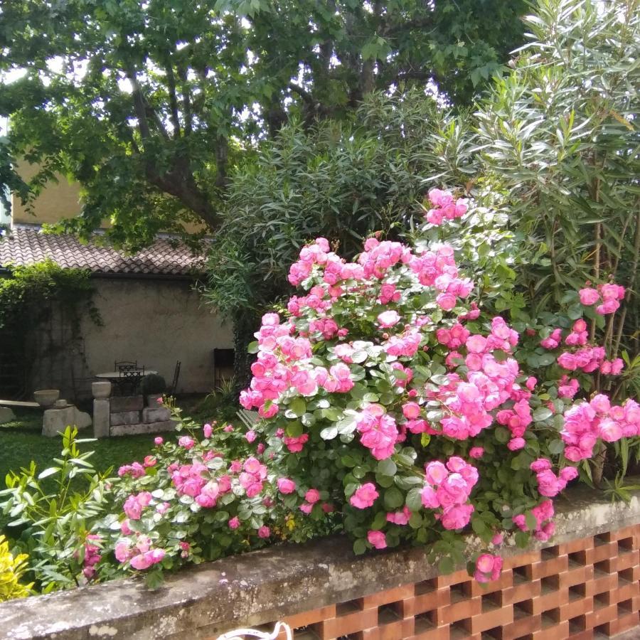 Le Petit Palais Maisonnette Apart otel Avinyon Dış mekan fotoğraf