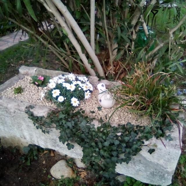 Le Petit Palais Maisonnette Apart otel Avinyon Dış mekan fotoğraf