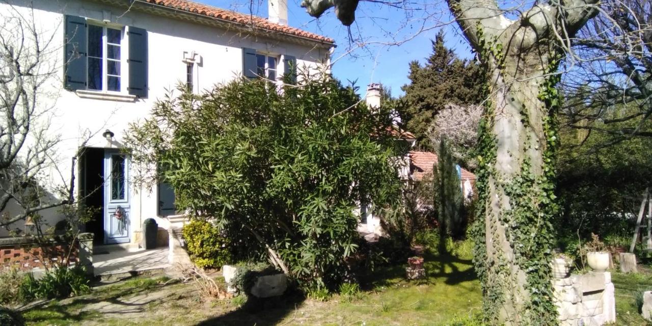 Le Petit Palais Maisonnette Apart otel Avinyon Dış mekan fotoğraf