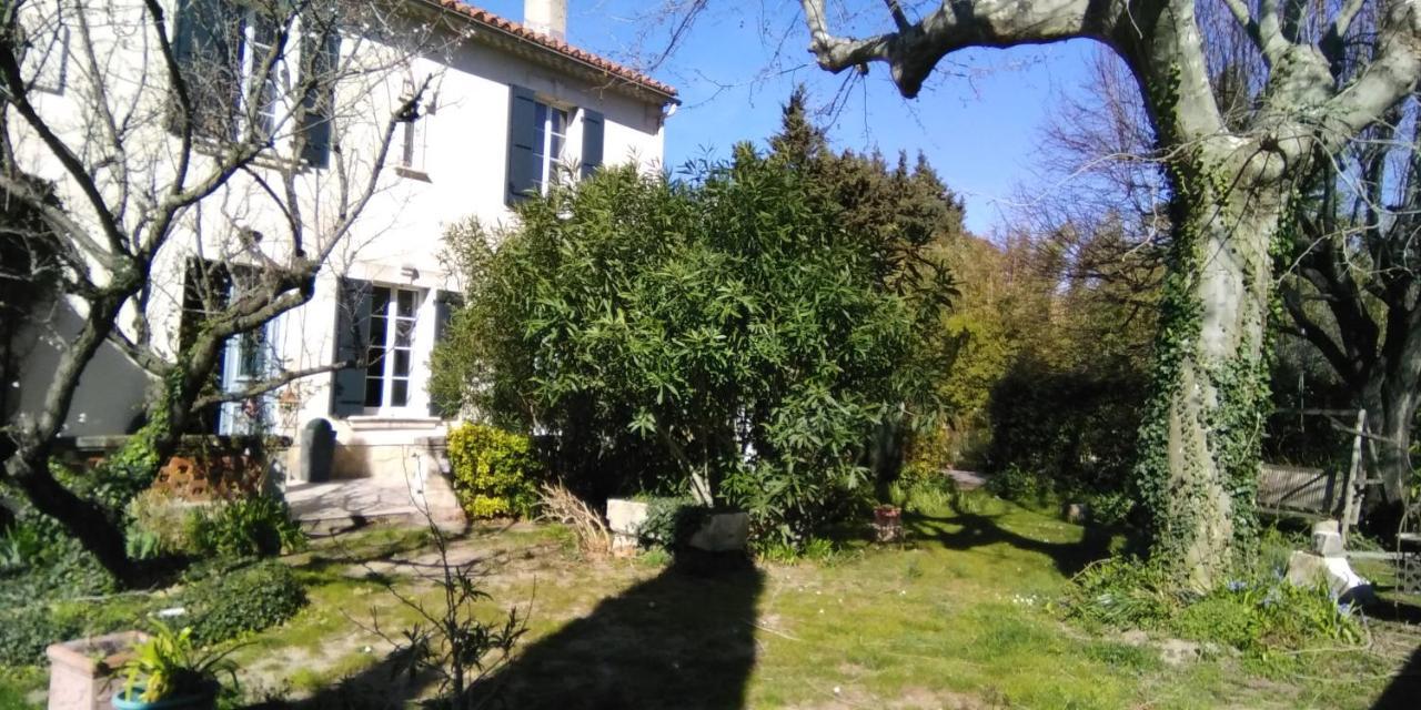 Le Petit Palais Maisonnette Apart otel Avinyon Dış mekan fotoğraf