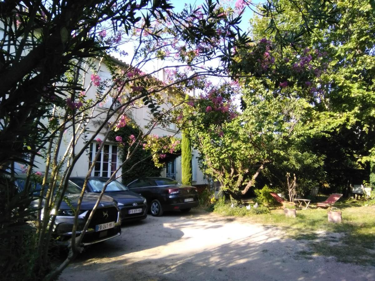 Le Petit Palais Maisonnette Apart otel Avinyon Dış mekan fotoğraf